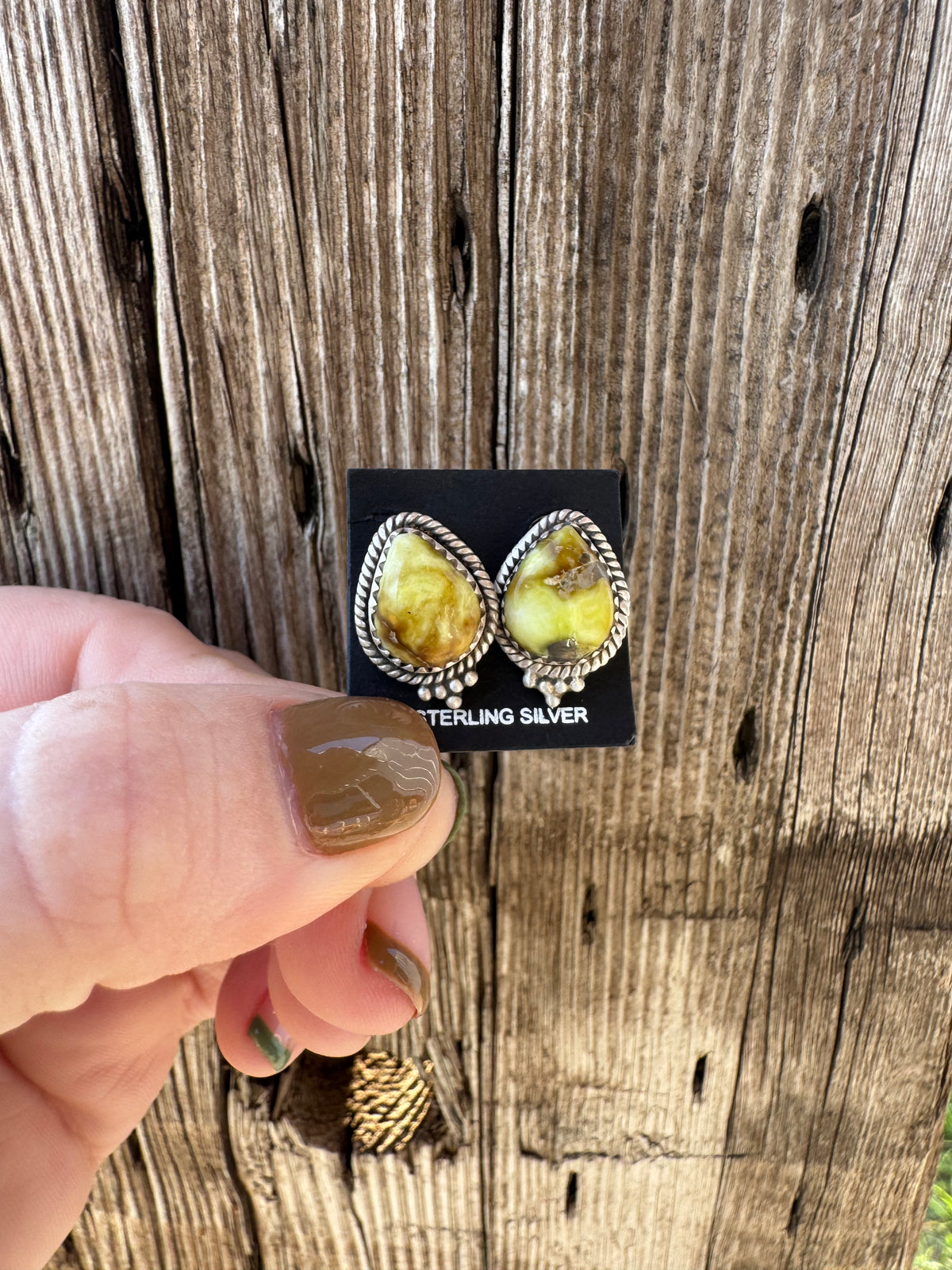 Palomino Studs