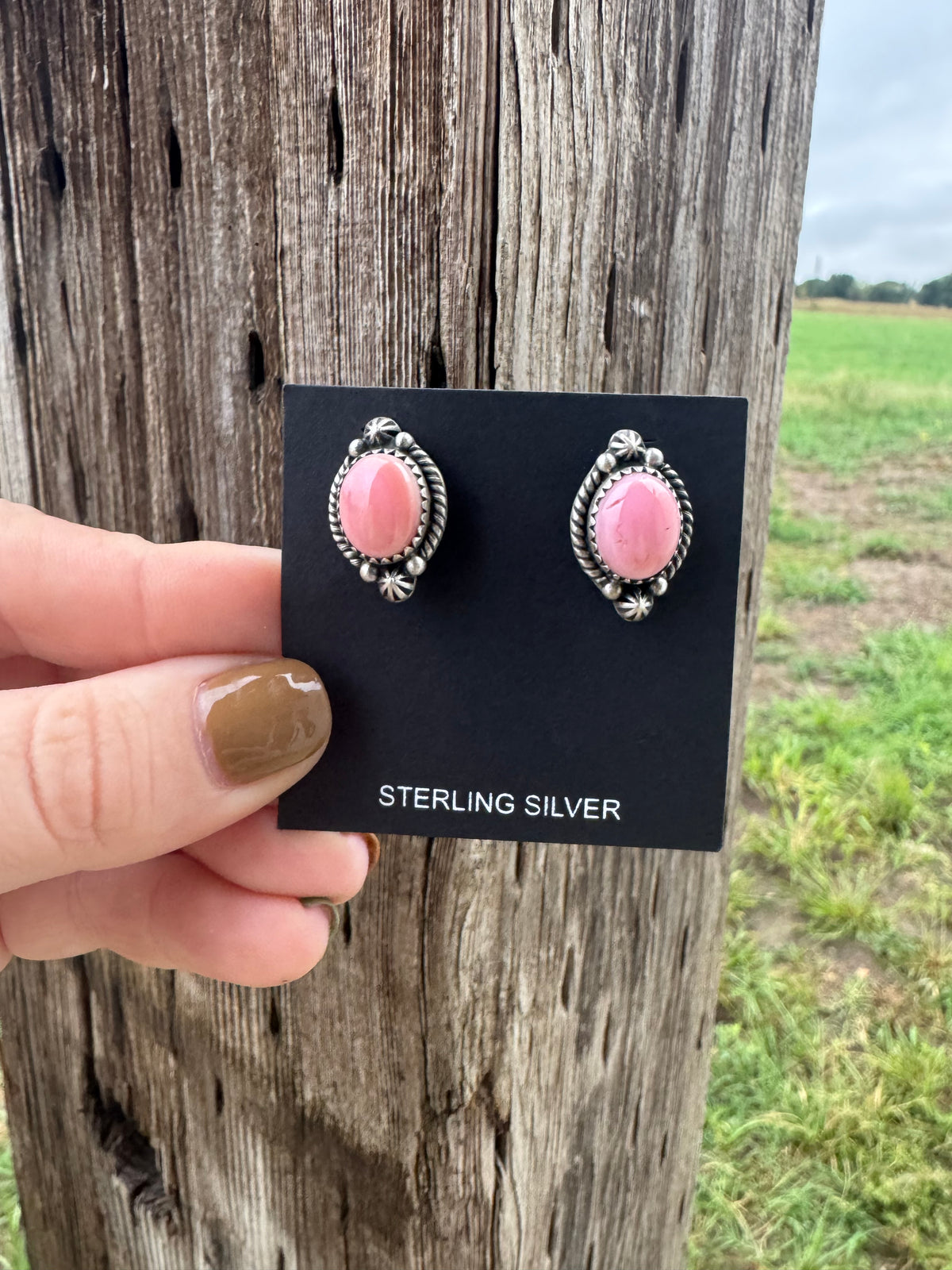 Pink Conch Studs